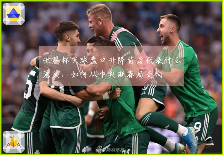 世界杯买球盘口升降背后代表什么意义，如何从中判断赛局走向