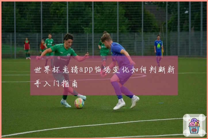 世界杯竞猜app临场变化如何判断新手入门指南