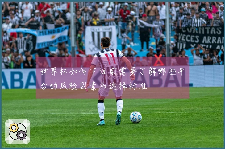 世界杯如何下注前需要了解哪些平台的风险因素和选择标准