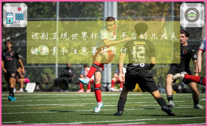 识别正规世界杯投注平台的几大关键要素和注意事项是什么？