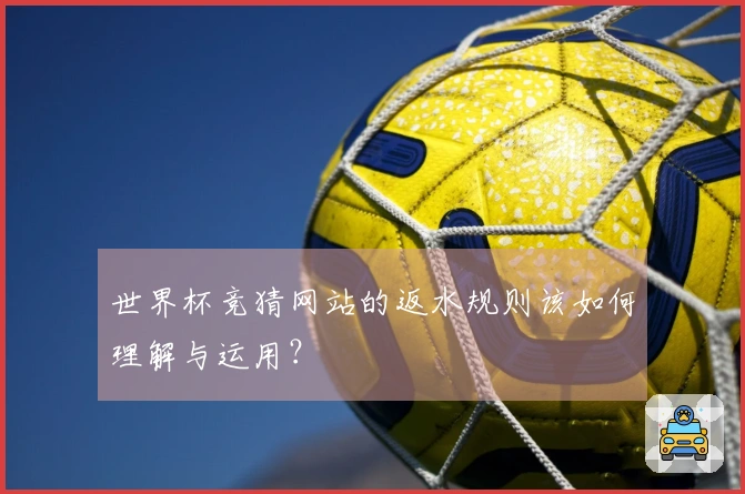 世界杯竞猜网站的返水规则该如何理解与运用？