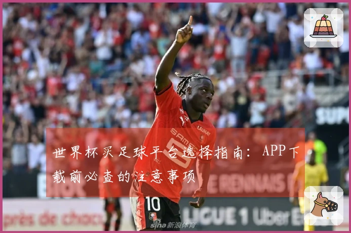 世界杯买足球平台选择指南：APP下载前必查的注意事项