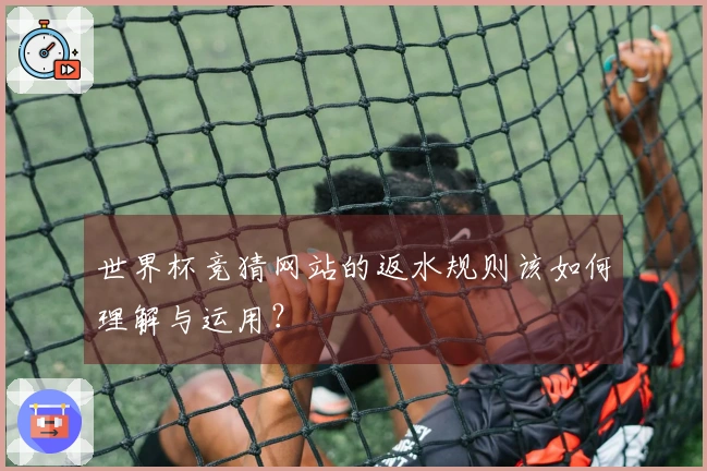 世界杯竞猜网站的返水规则该如何理解与运用？