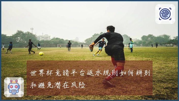 世界杯竞猜平台返水规则如何辨别和避免潜在风险