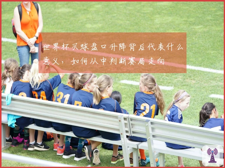 世界杯买球盘口升降背后代表什么意义，如何从中判断赛局走向