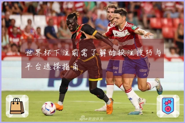 世界杯下注前需了解的投注技巧与平台选择指南