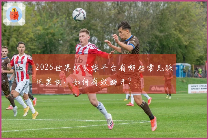 2026世界杯买球平台有哪些常见踩坑案例，如何有效避开？