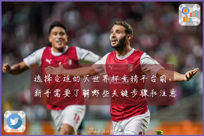 选择合适的买世界杯竞猜平台前，新手需要了解哪些关键步骤和注意事项？