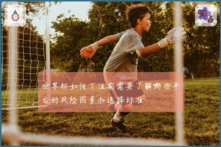 世界杯如何下注前需要了解哪些平台的风险因素和选择标准