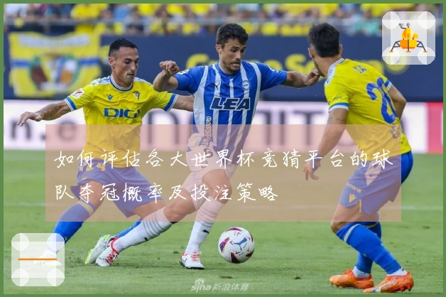 如何评估各大世界杯竞猜平台的球队夺冠概率及投注策略