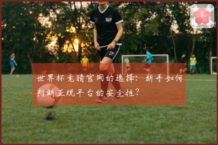 世界杯竞猜官网的选择：新手如何判断正规平台的安全性？