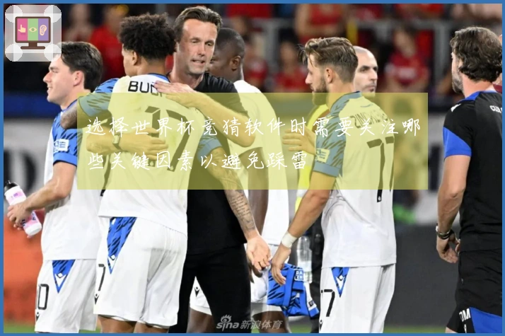 选择世界杯竞猜软件时需要关注哪些关键因素以避免踩雷