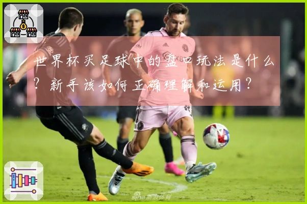 世界杯买足球中的盘口玩法是什么？新手该如何正确理解和运用？