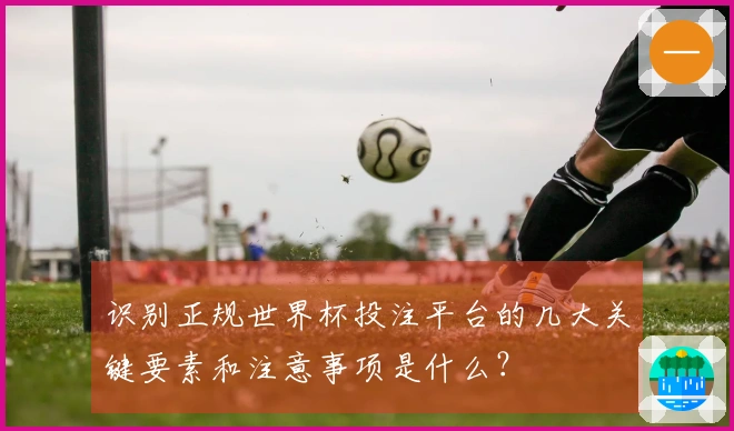 识别正规世界杯投注平台的几大关键要素和注意事项是什么？