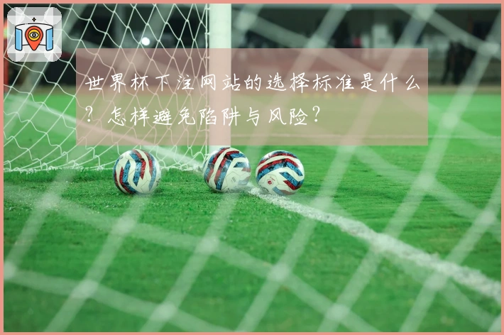世界杯下注网站的选择标准是什么？怎样避免陷阱与风险？