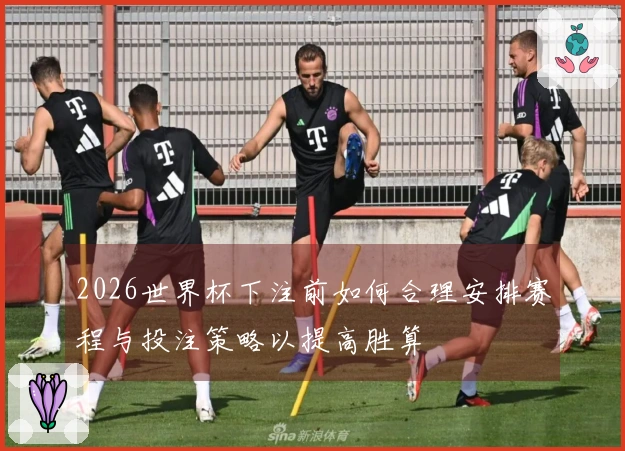 2026世界杯下注前如何合理安排赛程与投注策略以提高胜算