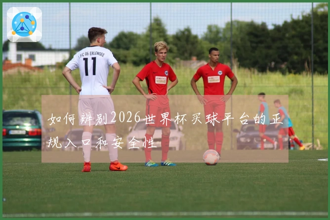 如何辨别2026世界杯买球平台的正规入口和安全性